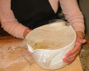 colomba xy15